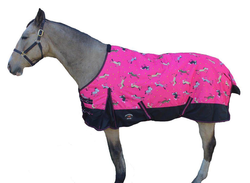 600D Horse Turnout Waterproof Medium-Weight Winter Blanket