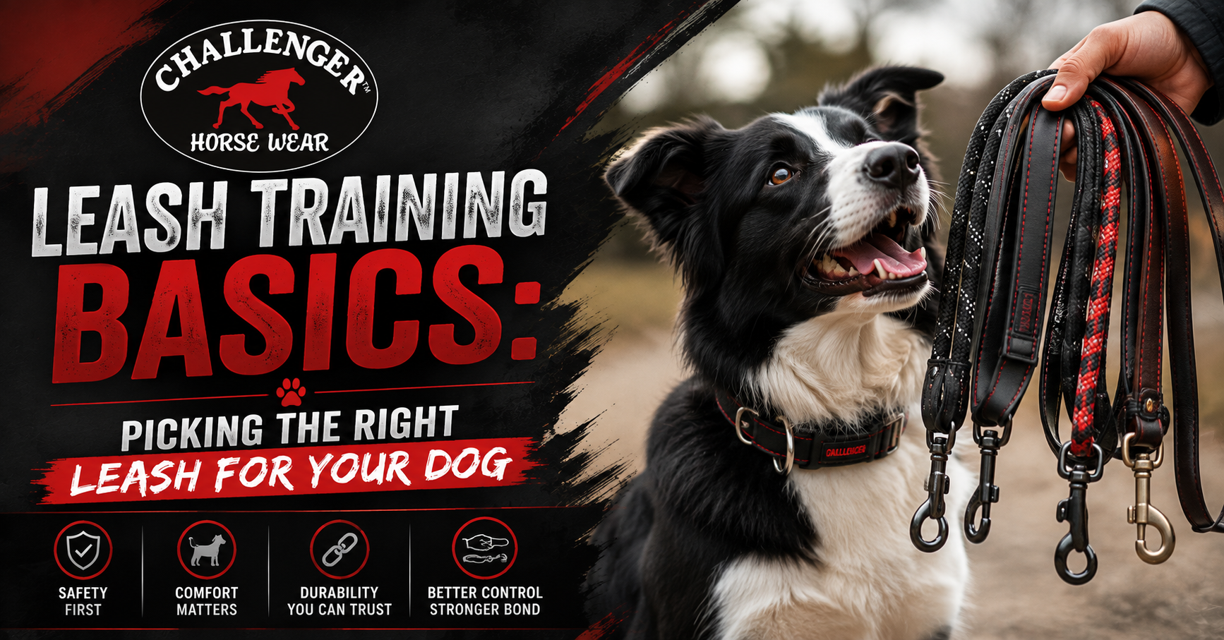 Leash Training Basics: Picking the Right Leash for Your Dog