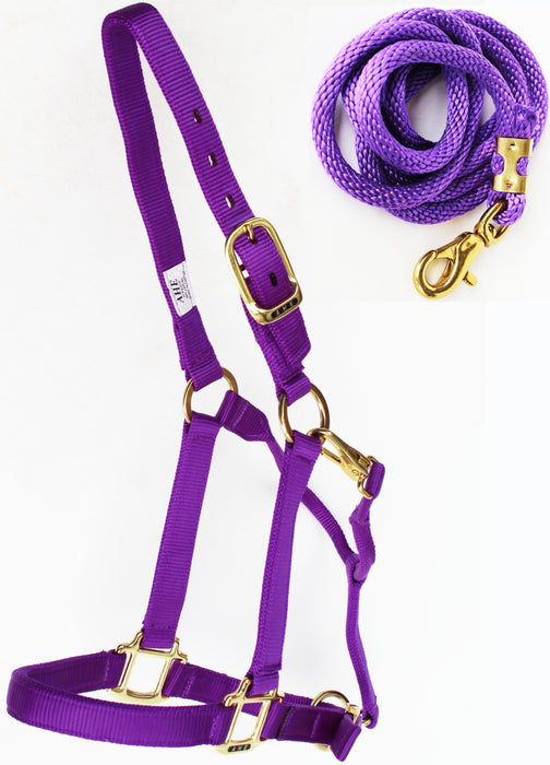 Horse Size Nylon Halter Lead Rope Throat Snap Brass Plated Tack 107HLCH