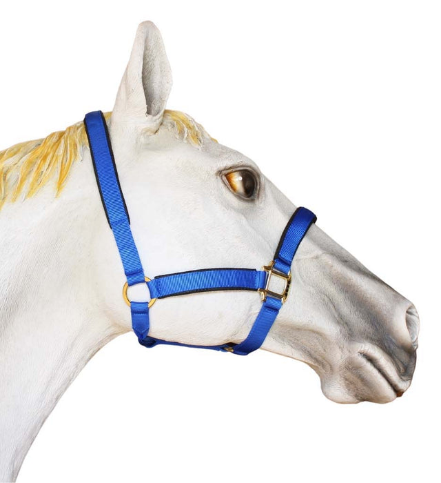 Horse Size Nylon Halter Lead Rope Throat Snap Brass Plated Tack 107HLCH