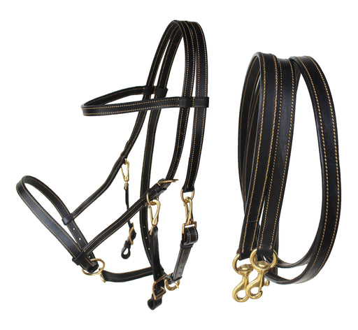 Australian Black Premium Leather Light Halter Bridle Reins 110B325