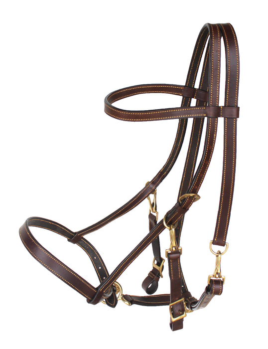 Australian Black Premium Leather Light Halter Bridle Reins 110B325