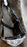 Horse Noseband Tack Bronc Leather Nylon HALTER Tiedown Lead Rope 280217