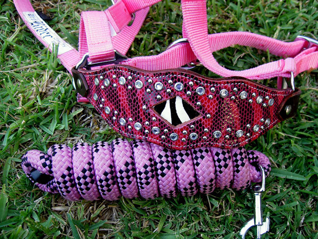 Horse Noseband Tack Bronc Leather Nylon HALTER Tiedown Lead Rope Tack 28024