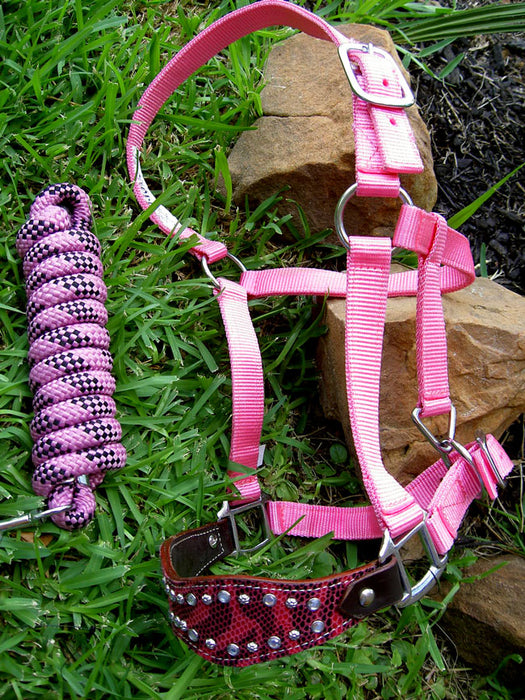Horse Noseband Tack Bronc Leather HALTER Tiedown Lead Rope  28025