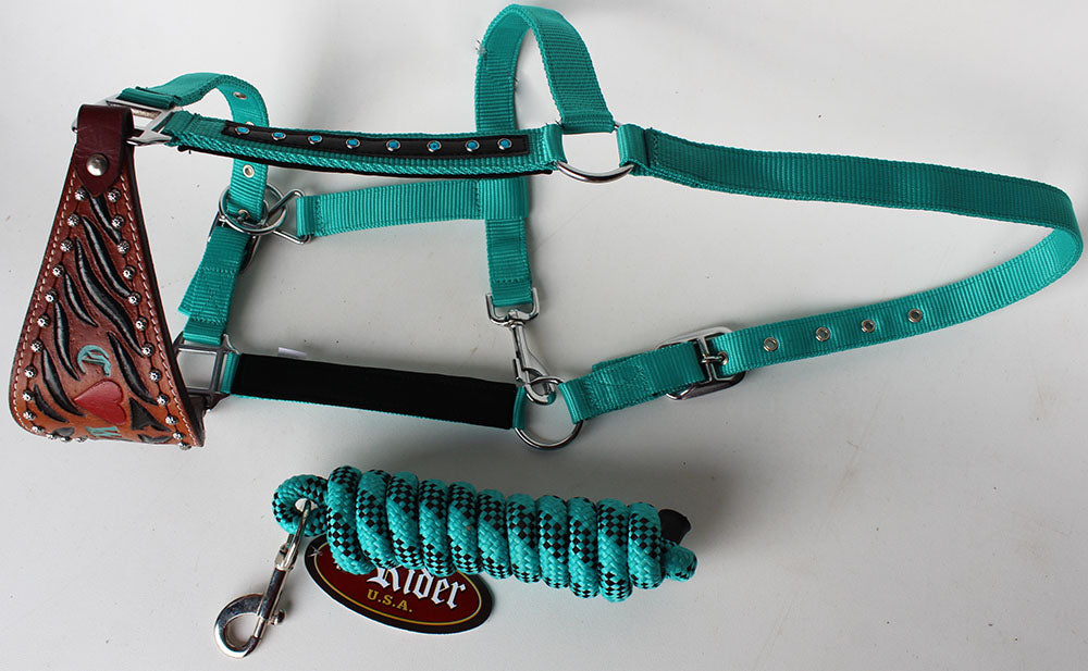 Horse  Noseband Tack Bronc Leather HALTER Tiedown Lead Rope  280292