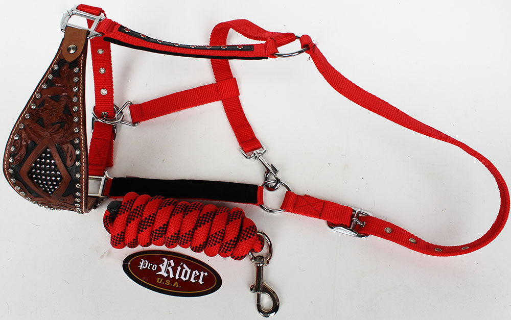 Horse Noseband Tack Bronc Leather HALTER Tiedown Lead Rope  280312
