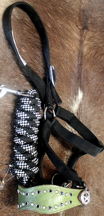 Horse Noseband Tack Bronc Leather HALTER Tiedown Lead Rope  280351