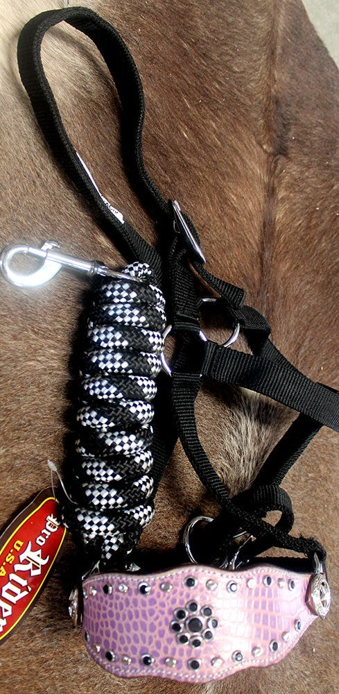 Horse Noseband Tack Bronc Leather HALTER Tiedown Lead Rope  280371