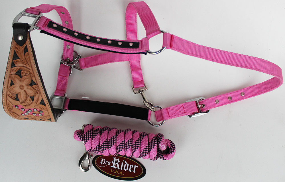 Horse Noseband Tack Bronc Leather HALTER Tiedown Lead Rope  280605