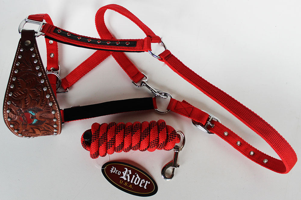 Horse Noseband Tack Bronc Leather HALTER Tiedown Lead Rope  280613