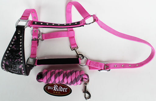 Horse Noseband Tack Bronc Leather HALTER Tiedown Lead Rope  280615