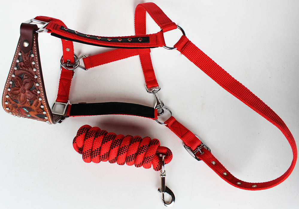 Horse Noseband Tack Bronc Leather HALTER Tiedown Lead Rope  280622