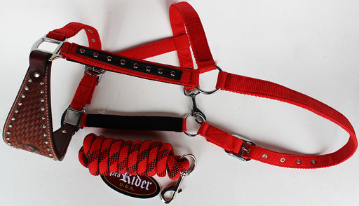 Horse Noseband Tack Bronc Leather HALTER Tiedown Lead Rope  280623