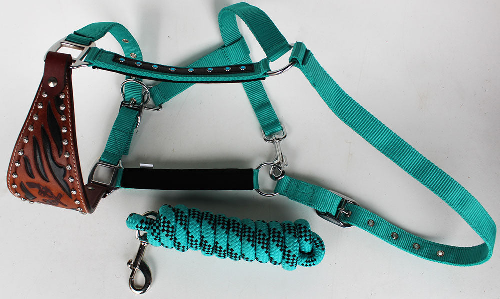 Horse Noseband Tack Bronc Leather HALTER Tiedown Lead Rope  280628