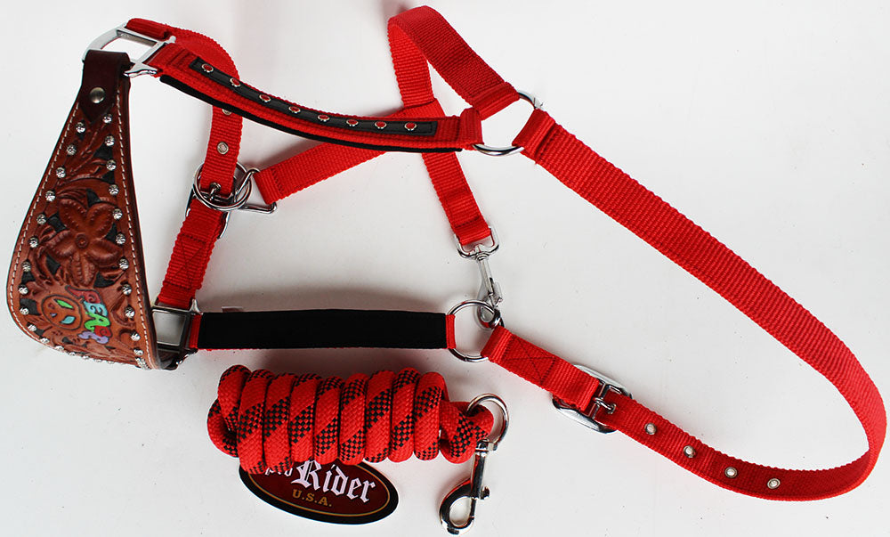 Horse Noseband Tack Bronc Leather HALTER Tiedown Lead Rope  280629