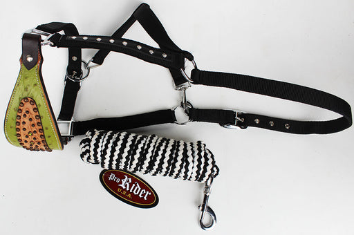 Noseband Tack Bronc Leather HALTER Tiedown Lead Rope Green 280646