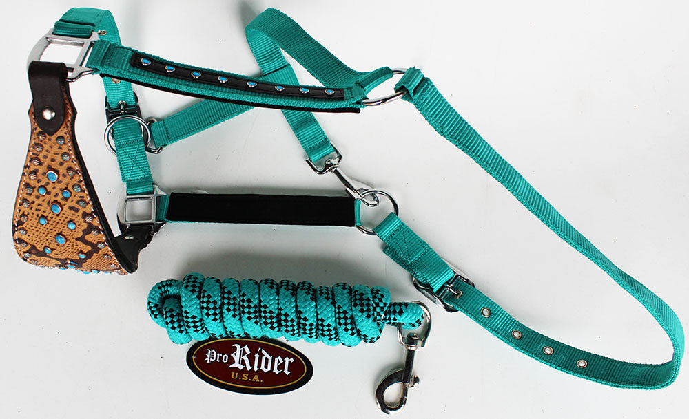 Horse Noseband Tack Bronc Leather Nylon HALTER Tiedown Lead Turquoise 280653