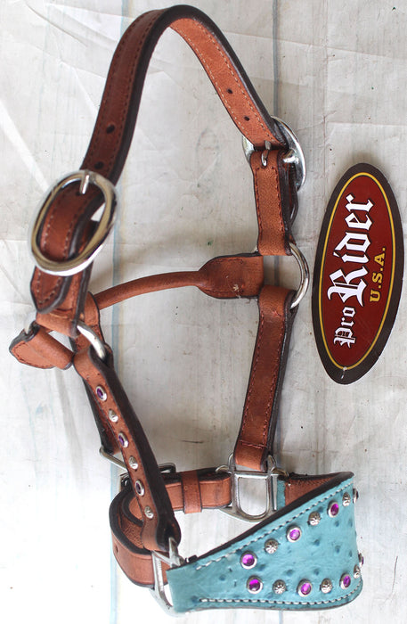 Horse Noseband Tack Leather Bronc Show HALTER Tiedown  28119