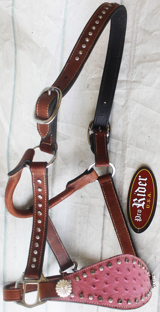 Horse Noseband Tack Leather Bronc Show HALTER Tiedown  28128