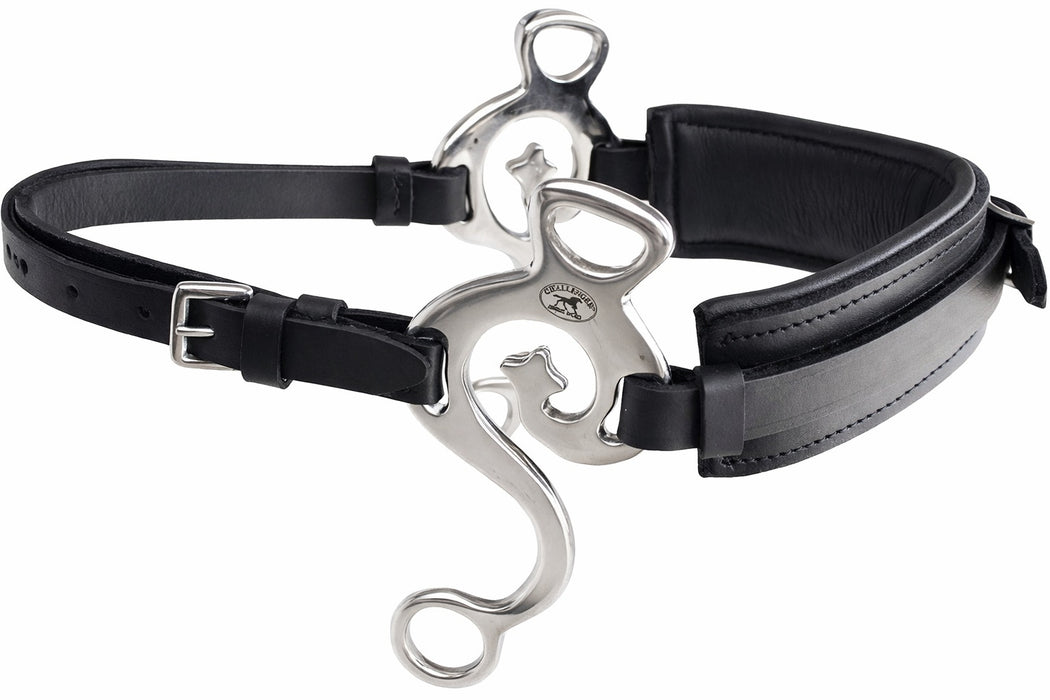 Horse Leather Short Shank Padded Noseband Training Hackamore Curb Strap 35H66