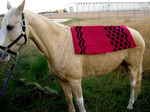 34x36 Horse Wool Western Show Trail SADDLE BLANKET Pad Area Rug Pink 3670