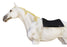 Horse & Pony SADDLE PAD Western Riding Trail Cordura Top Fur Bottom Full 39143