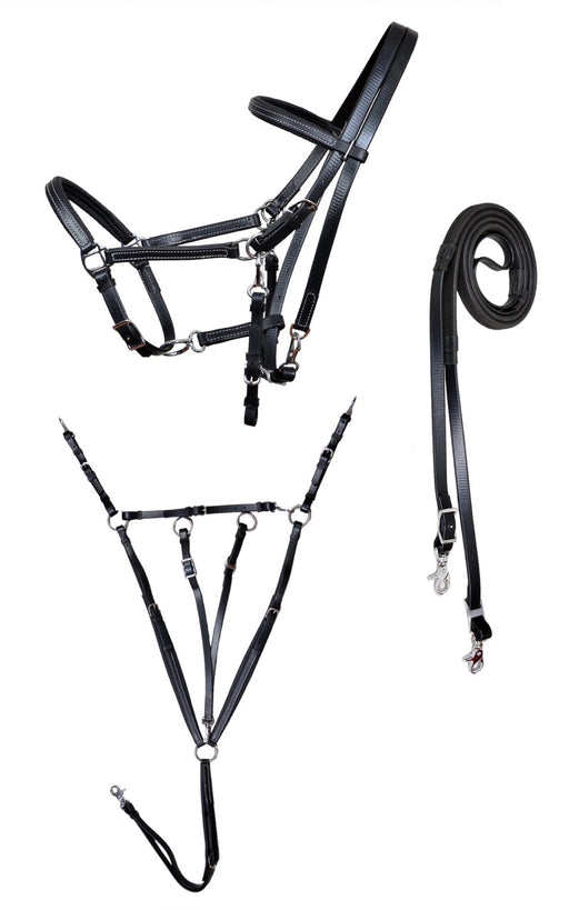 Horse PVC Endurance RACING  3-PCS Set Halter Bridle Breast Collar Reins 40MIB01