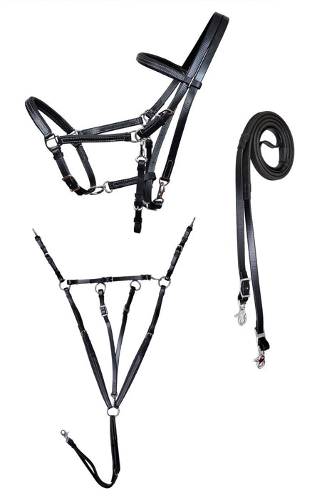 Horse PVC Endurance RACING  3-PCS Set Halter Bridle Breast Collar Reins 40MIB01