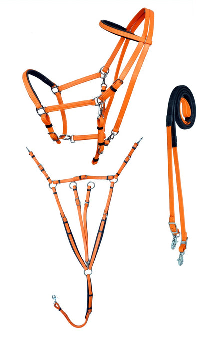Horse PVC Endurance RACING  3-PCS Set Halter Bridle Breast Collar Reins 40MIB01