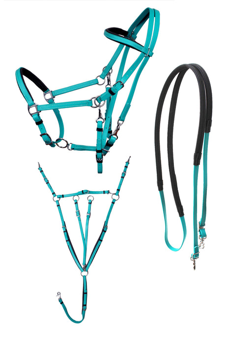 Horse PVC Endurance RACING  3-PCS Set Halter Bridle Breast Collar Reins 40MIB01