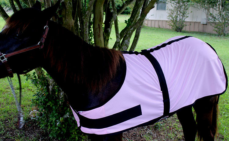 Miniature Weanling Donkey Pony Horse Foal Summer Sheet Pink 51foal