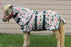 Miniature Weanling Donkey Pony Horse Foal Summer FlySheet Blanket Print 51821