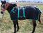 Challenger 1200D Miniature Weanling Donkey Foal Pony Horse Winter Blanket