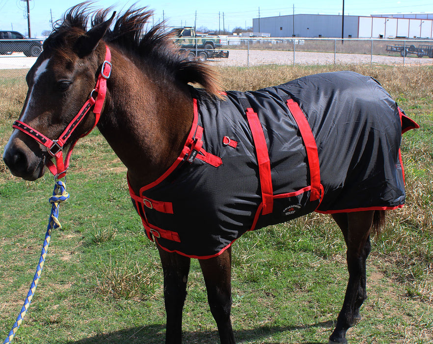 Challenger 1200D Miniature Weanling Donkey Foal Pony Horse Winter Blanket