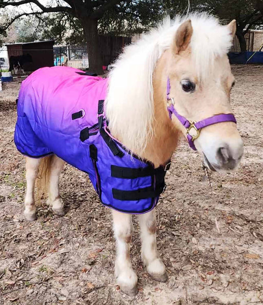1200D Miniature Weanling Donkey Pony Horse Foal Winter Blanket 51981