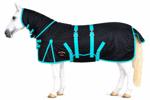 60" Challenger 1200D Heavy-Weight Winter Turnout Horse Blanket Combo Neck Black/Turquoise