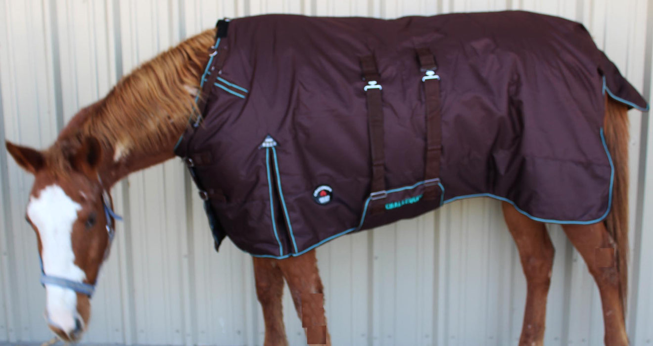 1200D Turnout Waterproof Horse Winter Blanket Heavy Coat Brown  572B