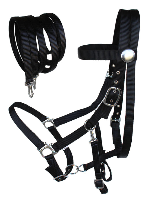 Dog Puppy Collar Genuine Cow Leather Padded Canine  60111