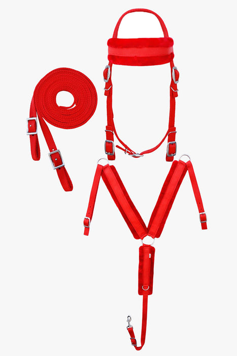 Horse Western 3-Piece Nylon Bridle Breast Collar Reins Tack Set 601J03