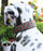 Bling Rhinestone Dog Puppy Collar Crystal Western Cow Leather  6020