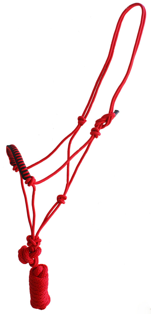 Nylon Nylon Braided Horse HALTER Lead Rope Noseband Tack  606116