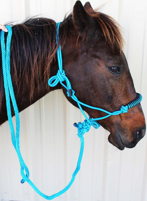 Western Horse Halters & Lead Ropes
