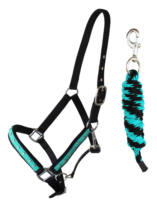 Turquoise Beaded Leather Padded Show Horse Halters / Halter – SIE EQUESTRIAN