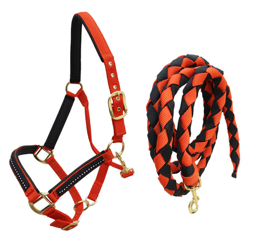 Nylon Horse Neoprene Padded Nylon Adjustable Halter Brass Hardware 606180-81