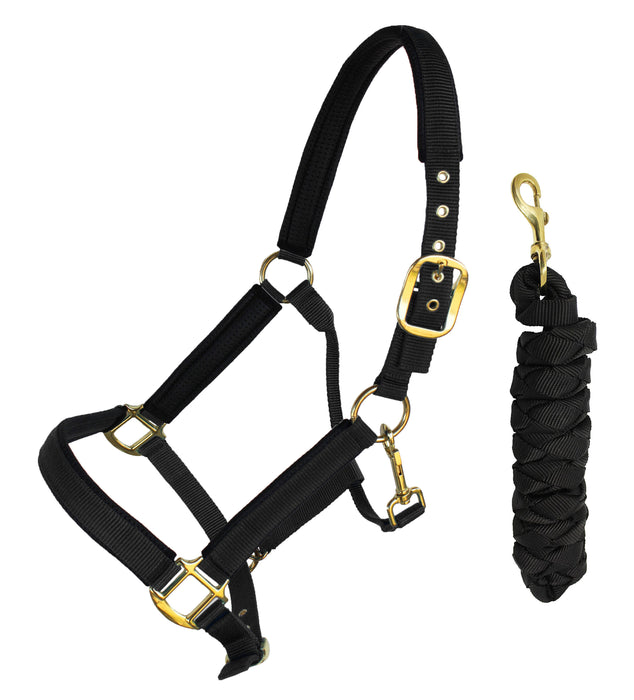 Nylon Horse Neoprene Padded Halter Brass Hardware Horse Tack Equine 606173
