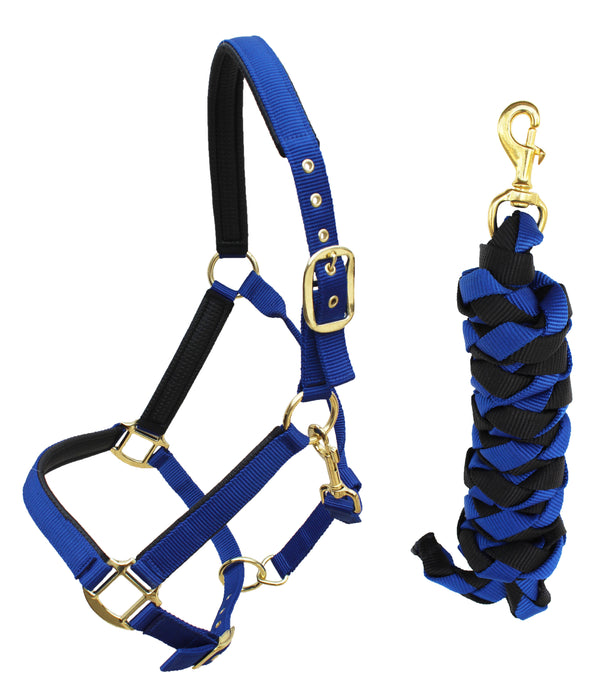 Nylon Horse Neoprene Padded Halter Brass Hardware Horse Tack Equine 606173