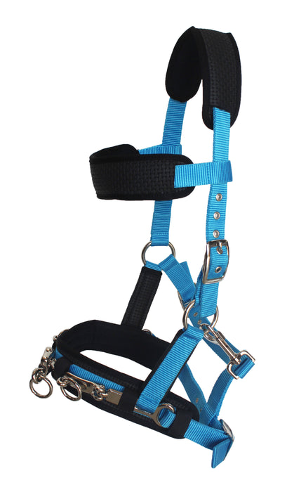 Nylon Lunge Padded Cavesson Halter Horse Tack Turquoise 606F03P