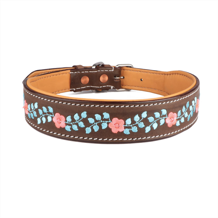 Challenger 100% Cow Leather Floral Embroidered Padded Dog Collar 60BT01