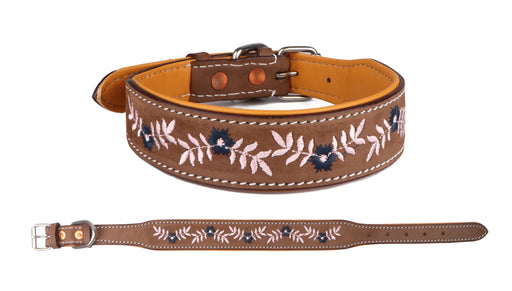 Challenger 100% Cow Leather Floral Embroidered Padded Dog Collar 60BT03
